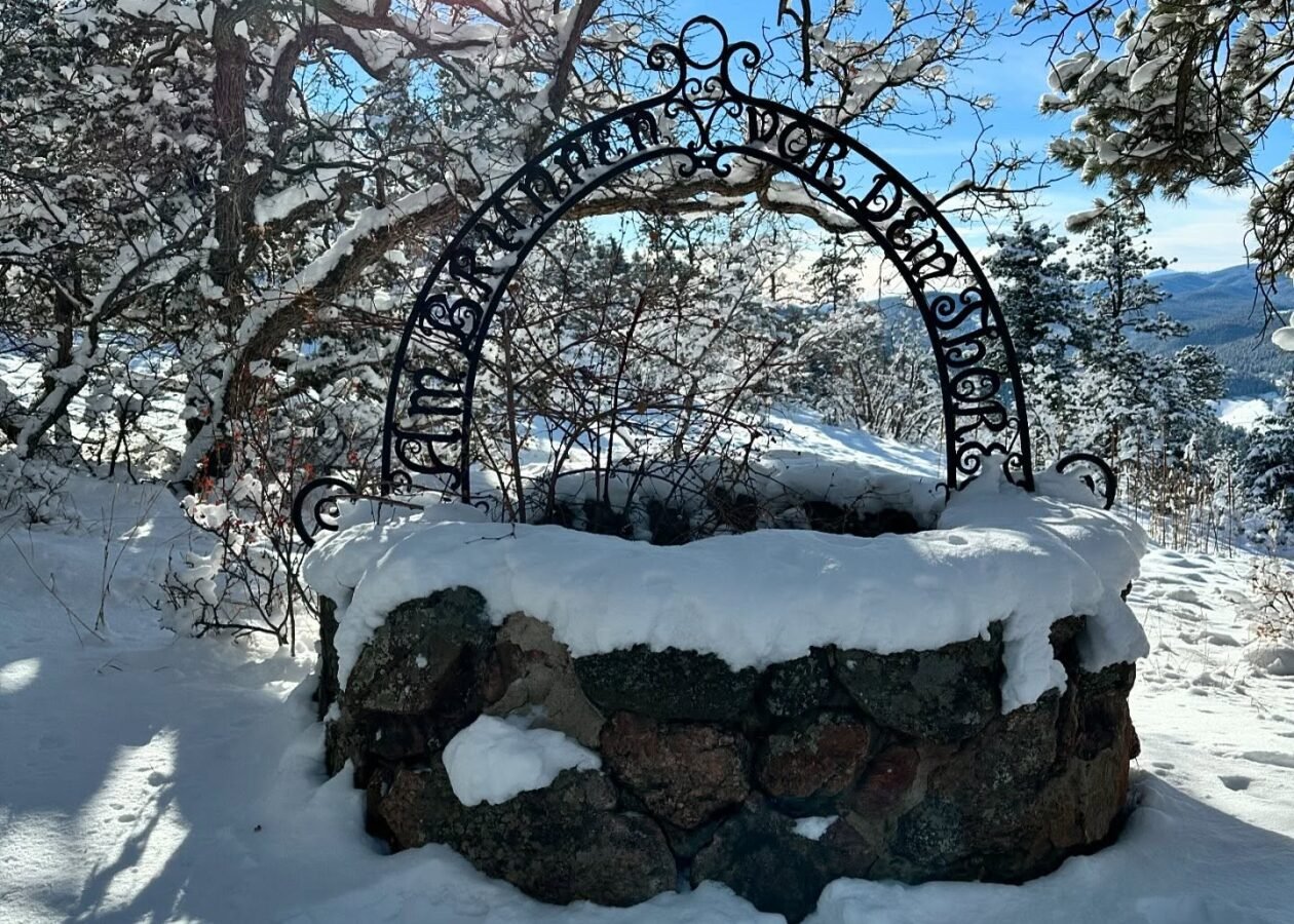 Mountain Falcon Park